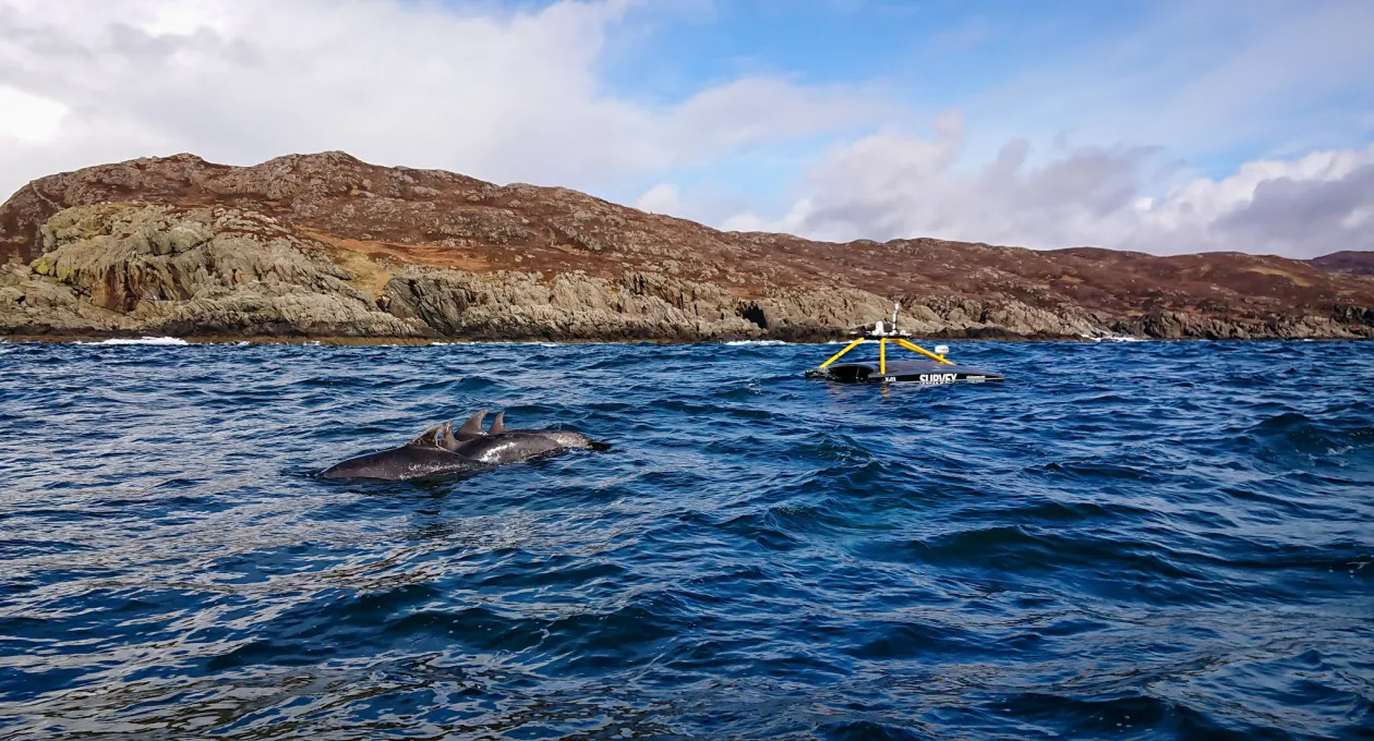 Photo Credit- XOCEAN