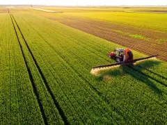 Drone shot of a tractor spraying in lush green wheat fields under the bright sun, showcasing modern agriculture