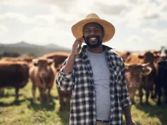 Shot of a mature man using a smartphone while working on a cow farm