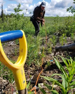 Blue Collar - 6.jpeg