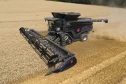 A large black combine harvester moves through a golden wheat field, cutting and collecting the crop as dust rises behind it.