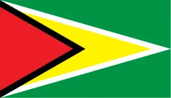 guyana-flag