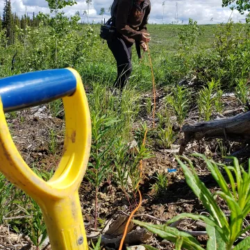 Blue Collar - 6.jpeg