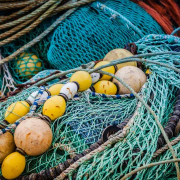 IMG_Maritime_Fishing_Net_Shutterstock_291438269_L_031118