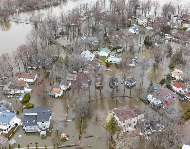 IMG_Case-Study_T24-Flood.jpg