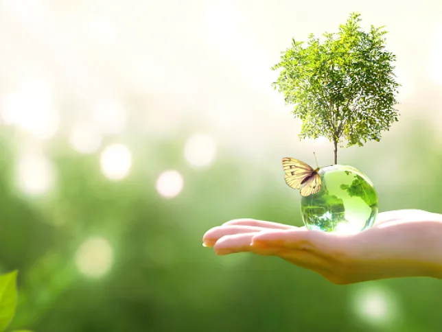 A hand holding a miniature globe with a butterfly and tree, symbolizing environmental protection