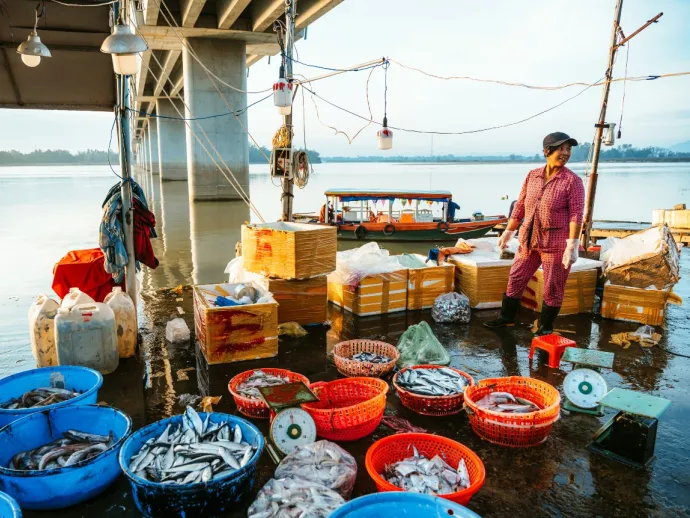 Female vendor at fish market in Hoi An, Vietnam