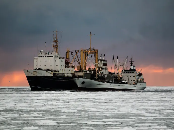 fishermen overload of products on the refrigerator