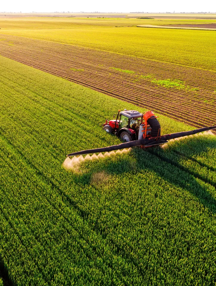 Drone shot of a tractor spraying in lush green wheat fields under the bright sun, showcasing modern agriculture