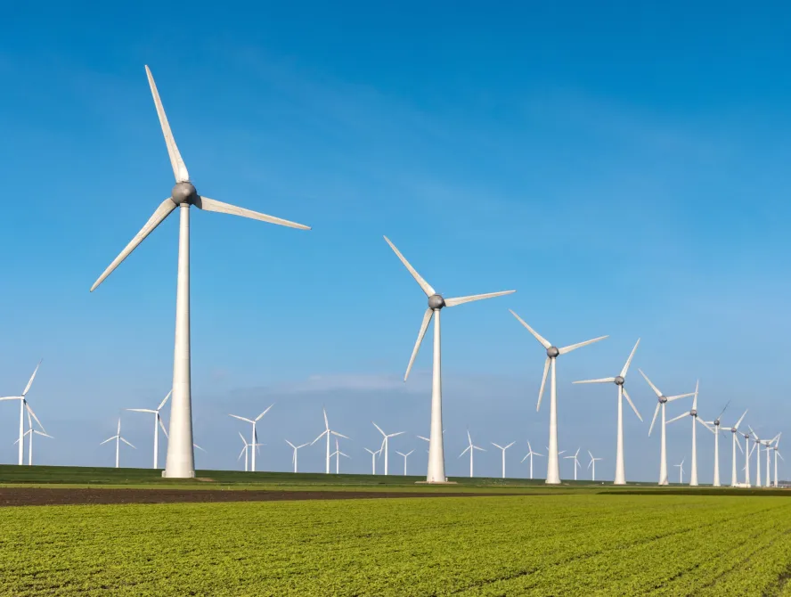 A large field with rows of green crops and numerous white wind turbines stretching into the distance under a clear blue sky.