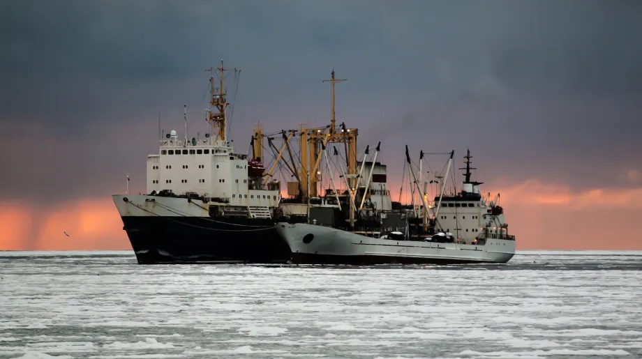 fishermen overload of products on the refrigerator