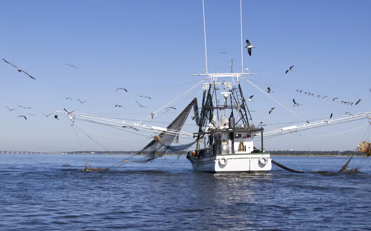 Gulf Coast Shrimping Boat in Biloxi