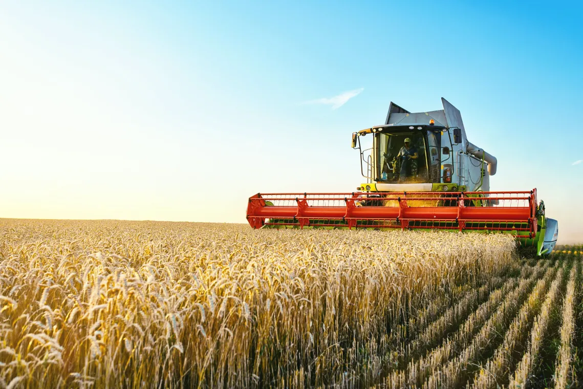 A large combine harvester moves through a golden wheat field under a clear blue sky, cutting and collecting crops in neat rows.