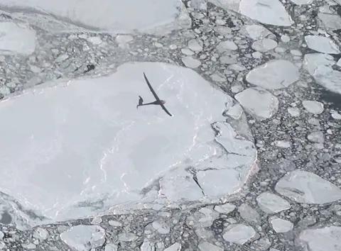 A long-winged unmanned aircraft flies over a frozen landscape with large sheets and chunks of sea ice floating on icy water.