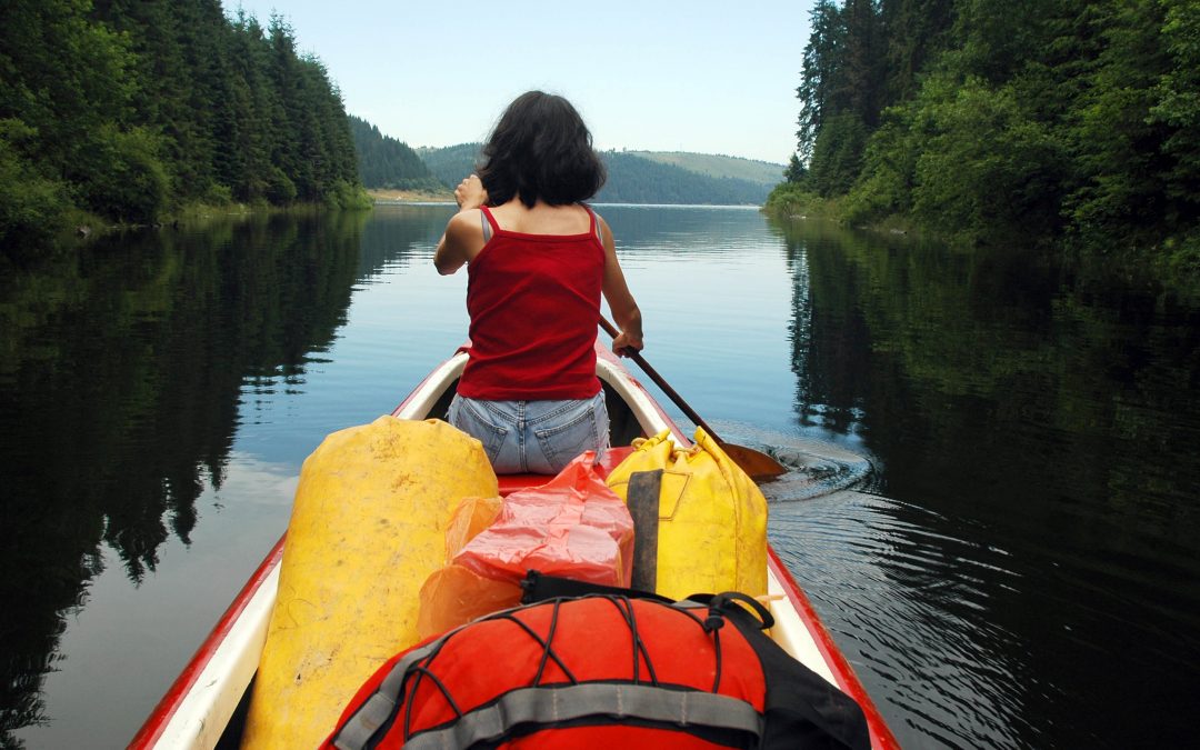 SatCom for Summer? A Decision-Making Guide