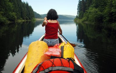 SatCom for Summer? A Decision-Making Guide