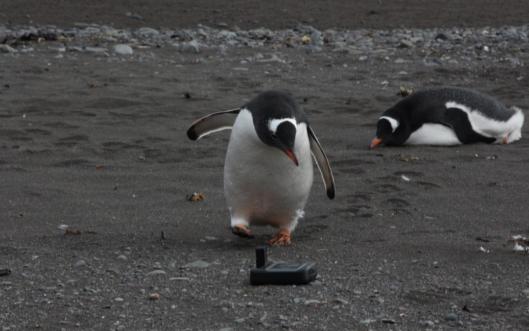 ESTEM Antarctica goes Iridium GO!