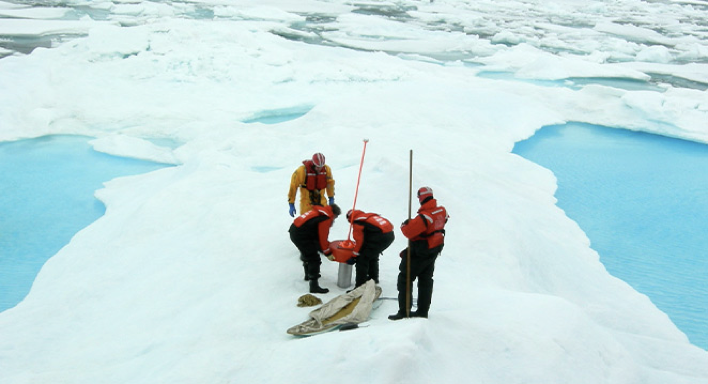 Iridium’s Unique Role in the Polar Regions