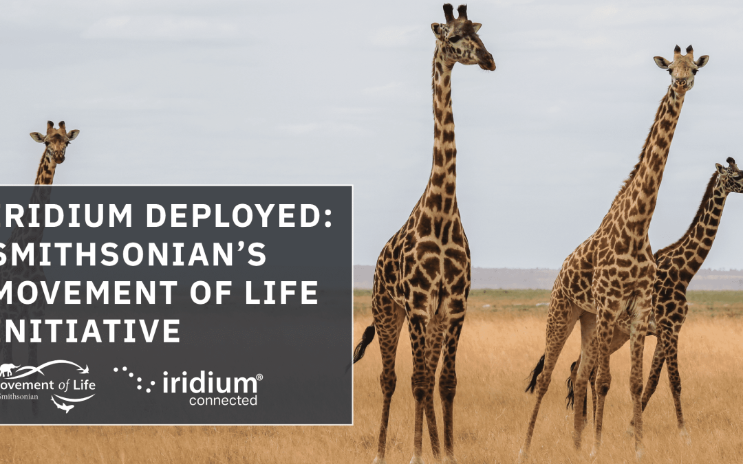 Iridium Deployed: Smithsonian Movement Of Life