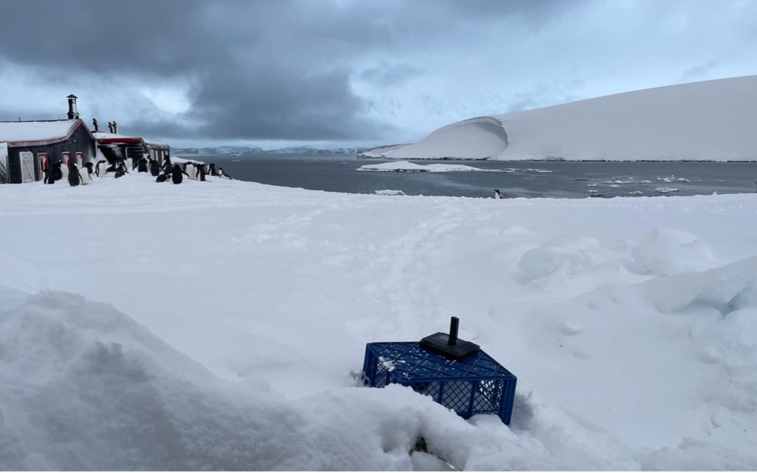 Keeping UK Antarctic Heritage Trust Safe At Port Lockroy